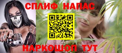 МДПВ Пенза